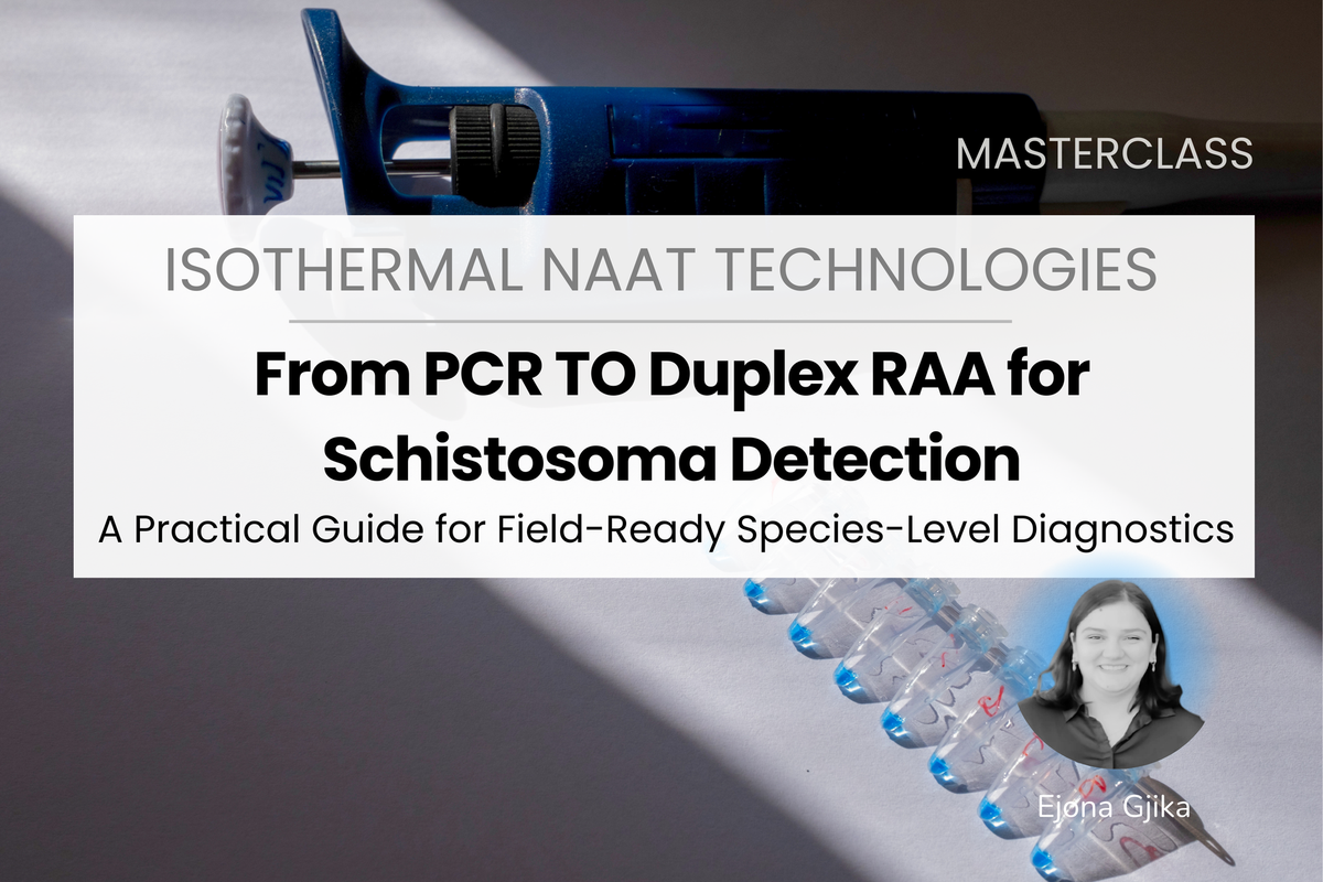 From PCR to Duplex RAA for Schistosoma Detection: A Practical Guide for ...
